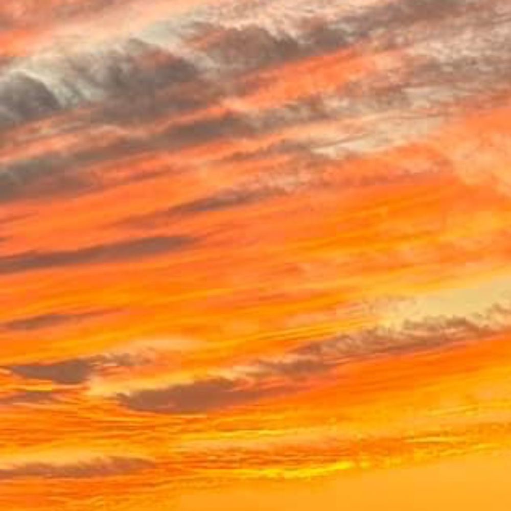 Meet your Posher, JAK